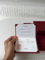 Bracelet Love Cartier - Or blanc 18 carats - Taille 16 - Coffret et tournevis - Image 4