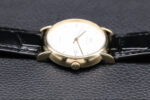IWC Portofino Automatique IW353307 Or 18 carats, Papiers - Image 9